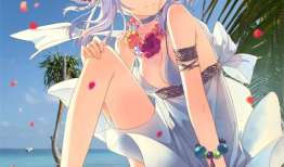 h动漫有哪些,经典作品与独特魅力